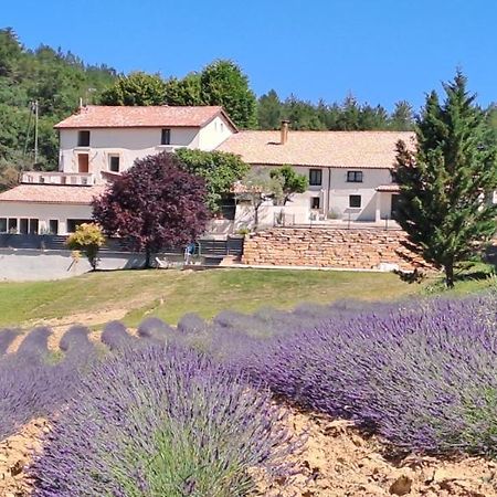 Domaine De Prefaissal Mezel (Alpes-de-Haute-Provence) Exterior foto